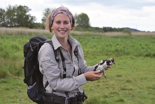 Lizzie Grayshon & Lapwing