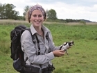 Lapwing’s welcome return to same Avon Valley farm for five years helps scientists learn more about threatened bird