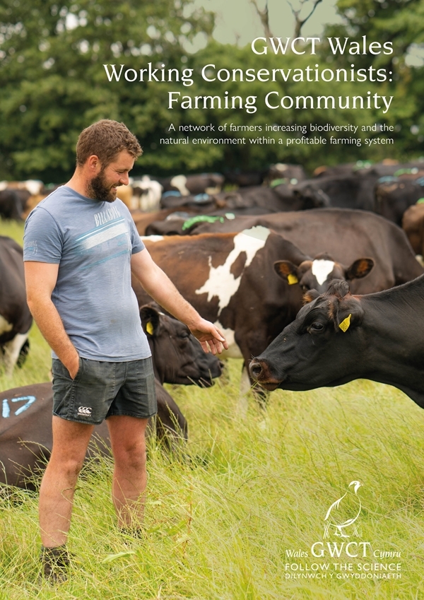 Welsh Farm Network Cover Welsh Farm Network Cover