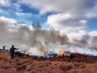 Misleading statements on peatland and heather burning: Our response to Greenpeace UK