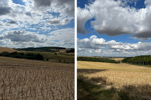 Picture 2 Group Lowland Picture 2 Group Lowland