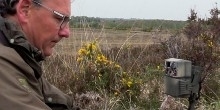 Trail Camera Appeal
