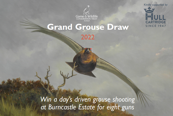 Grandgrousedraw