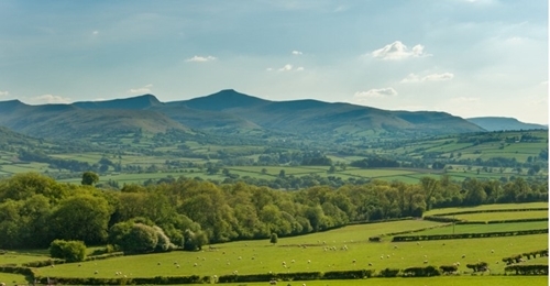 Welsh Farm