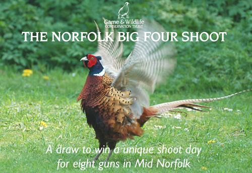 Norfolk Big Four 2023