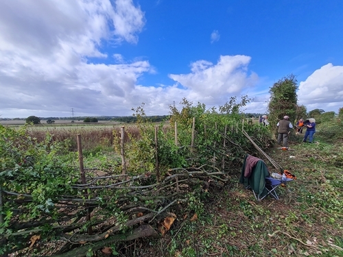 Hedgerow Record 2 Hedgerow Record 2