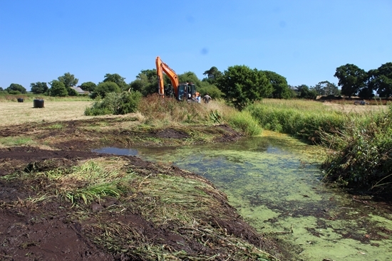 Clearing The Ancient Herringbone System Of Drainage Ditches Before The Water Vole Reintroduction