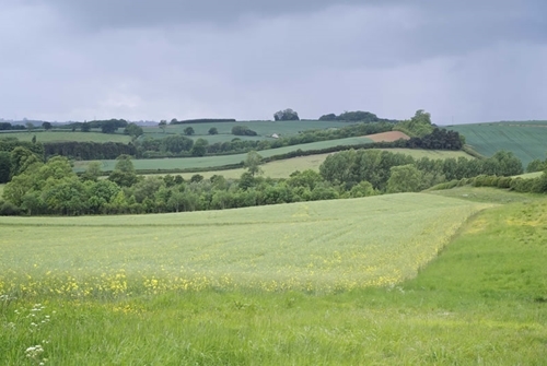 Loddington -view -Markus Jenny