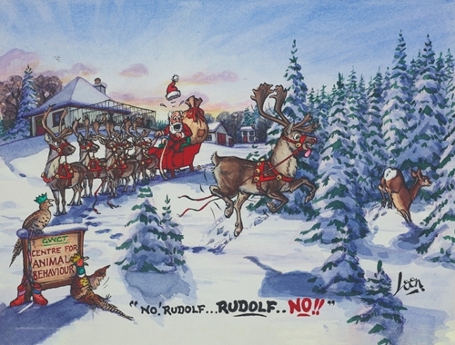 Loon - No , Rudolf
