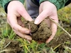 Save Our Soils – an SOS that Government must respond to