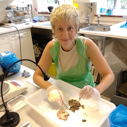 Jodie Dissection Jodie Dissection