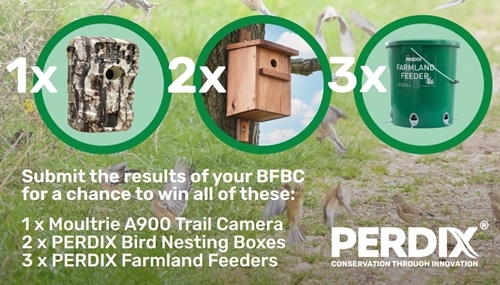 Perdix Perdix