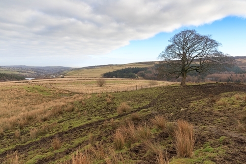 Lane Farm Is A Member Of Peakland Environmental Farmers Lane Farm Is A Member Of Peakland Environmental Farmers