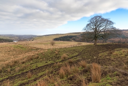 Lane Farm Is A Member Of Peakland Environmental Farmers