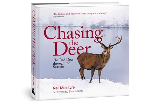 Chasing The Deer