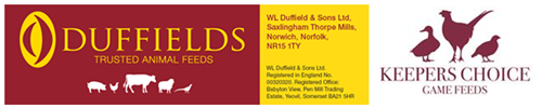Banner Banner