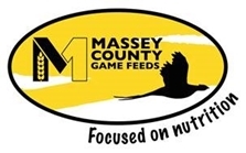 Masseylogo