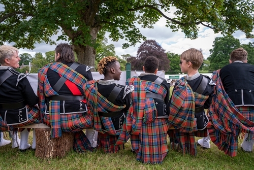 Pipers Resting Pipers Resting