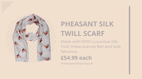 Silk Scard Silk Scard
