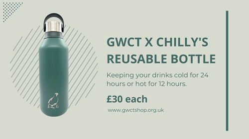 Chilly Bottle Graphic