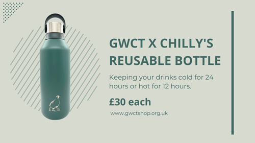 Chilly Bottle Graphic Chilly Bottle Graphic