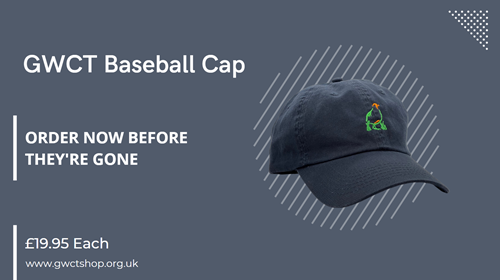 Navy Gwct Cap Navy Gwct Cap