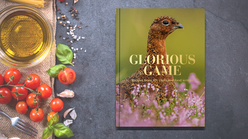 Glorious Game Grpahic Glorious Game Grpahic