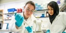 Fox Diet Research Appeal