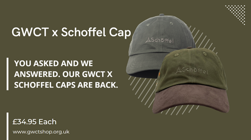 Schoffel Caps Graphic 2 Schoffel Caps Graphic 2