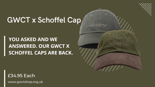 Schoffel Caps Graphic 2