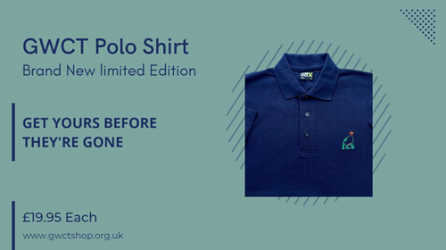 Polo Shirt Graphic
