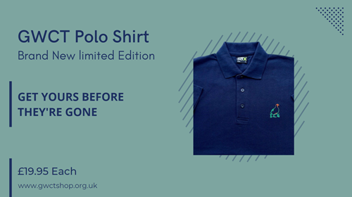 Polo Shirt Graphic Polo Shirt Graphic