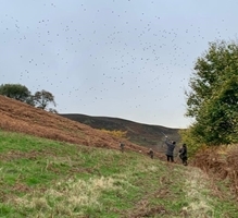 Gwysaney Game Management Walk image