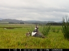 Waders return at our Scottish demonstration farm