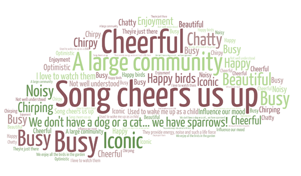 Sparrow word cloud Sparrow word cloud