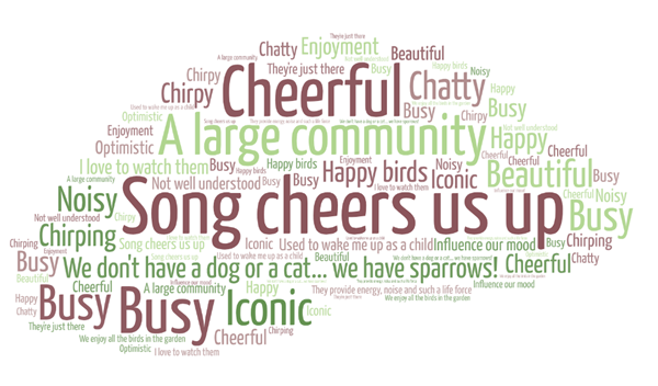 Sparrow word cloud