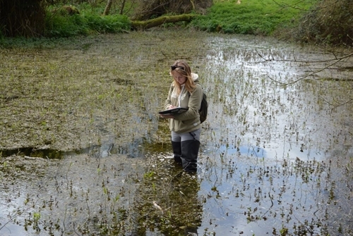 Jess Monitoring Pond