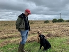 Soil and Song Conservation Walk in Northumberland