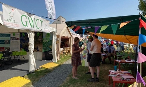 Gwct _stand Gwct _stand