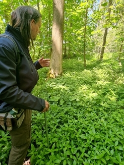 John Szczur