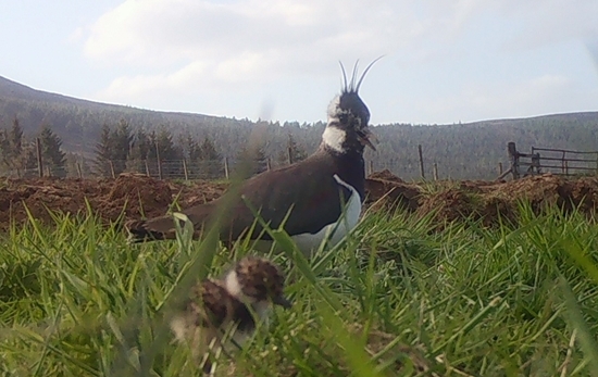 IMG_0106 IMG_0106