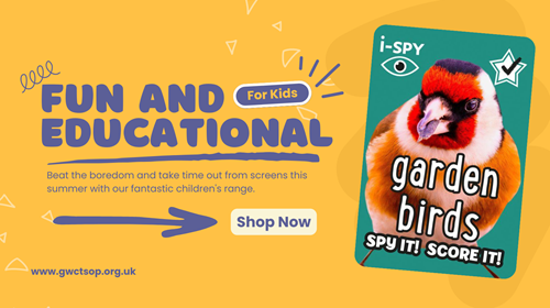 Childrens Ideas Childrens Ideas