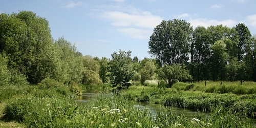 Talking Chalk Streams