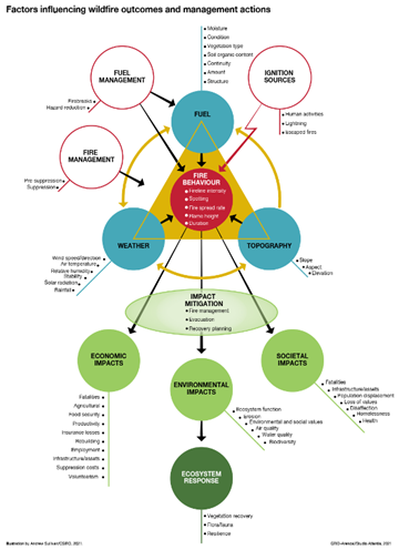 Factors Influencing Wildfire Outcomes And Management Actions