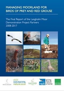 Langholm Report