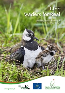 Waders For Real