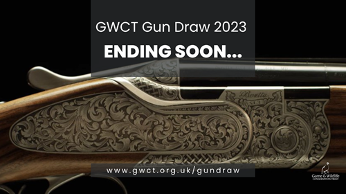 Gun Draw Ending Graphic Gun Draw Ending Graphic