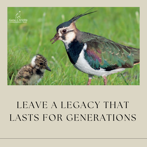 Leave A Legacyt Leave A Legacyt