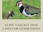 Thinking of leaving a legacy? Your questions answered