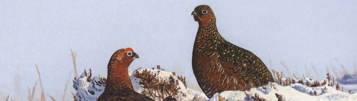 GWCT Christmas Cards